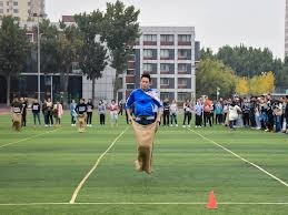 西甲赛程与比分速览 多场关键比赛结果揭晓